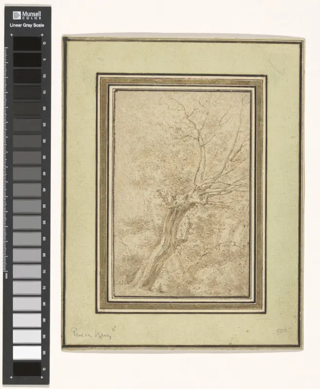 Een knoestige boom Wall Art by Unknown - High-Resolution Digital Print