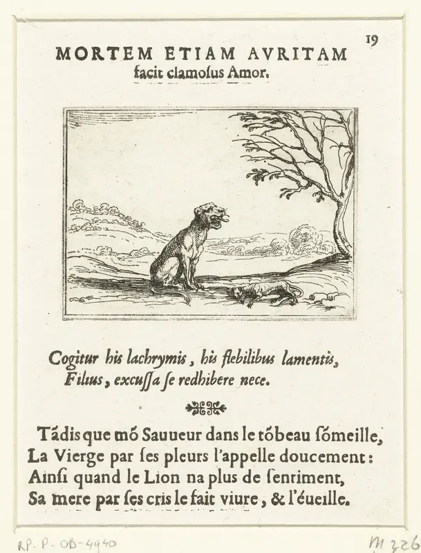 Een leeuwin brult bij haar levenloze welp Wall Art by Jacques Callot - High-Resolution Digital Print