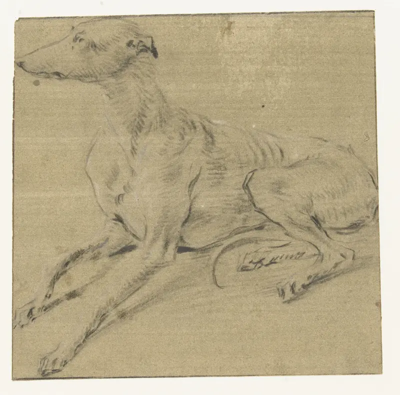 Een liggende hond, van opzij gezien Wall Art by Frans Snijders - High-Resolution Digital Print