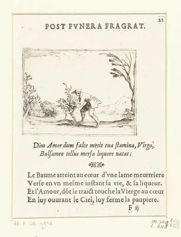 Een man snoeit een boompje Wall Art by Jacques Callot - High-Resolution Digital Print