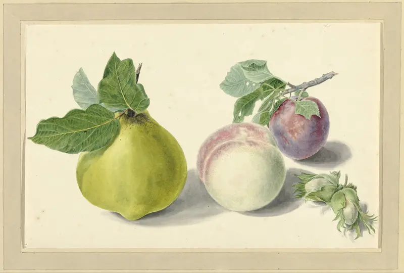 Een peer, perzik, pruim en noten Wall Art by Elisabeth Geertruida van de Kasteele - High-Resolution Digital Print