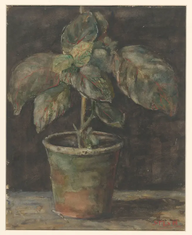 Een potplant Wall Art by Sientje Mesdag-van Houten - High-Resolution Digital Print