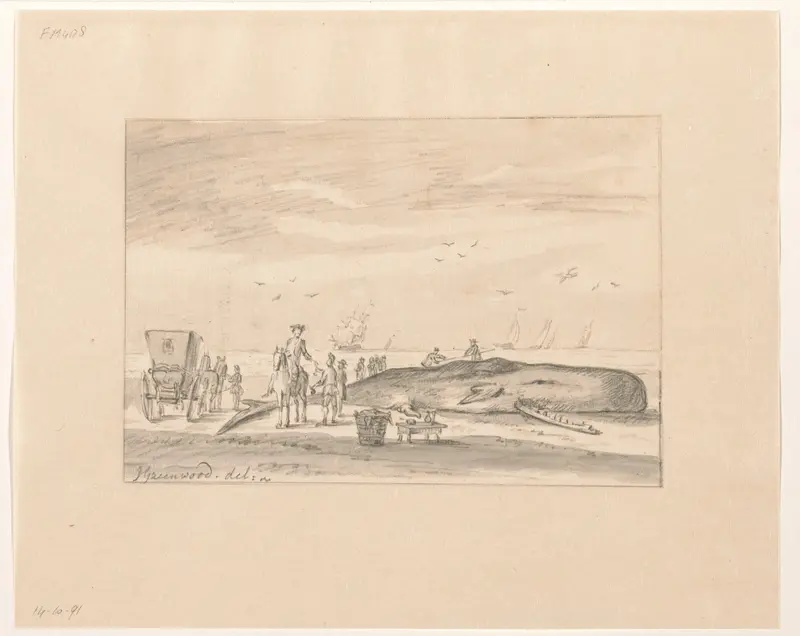Een potvis aangespoeld op het strand tussen Zandvoort en Wijk aan Zee, 20 februari 1762 Wall Art by Unknown - High-Resolution Digital Print