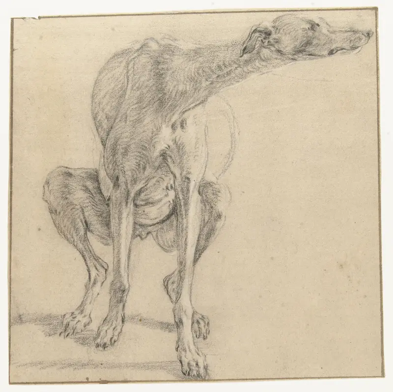 Een zittende hond, zich ontlastend, van voren gezien Wall Art by Frans Snijders - High-Resolution Digital Print