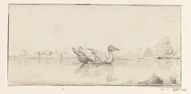 Eend in het water Wall Art by Jean Bernard - High-Resolution Digital Print