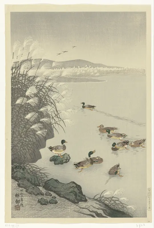 Eenden in het water Wall Art by Unknown - High-Resolution Digital Print