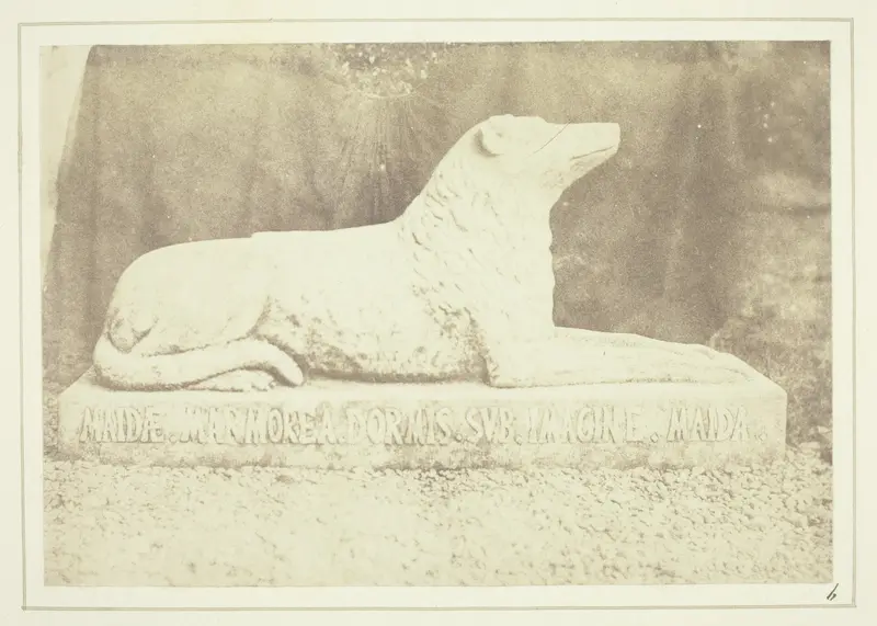 Effigy of Sir W. Scott's favourite dog Maida, by the side of the hall door at Abbotsford