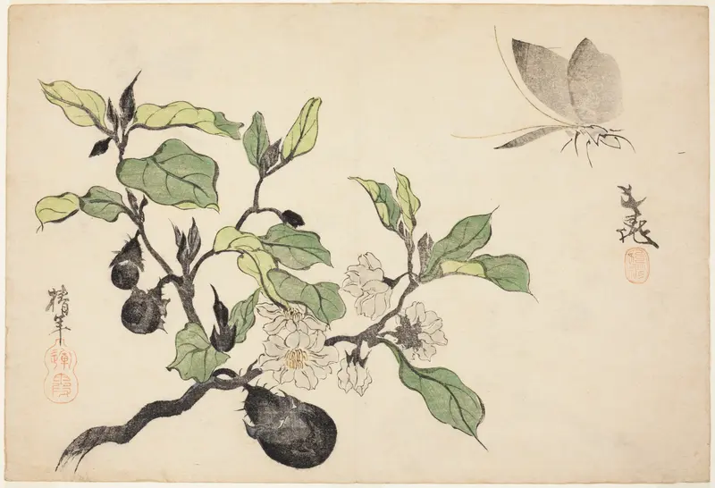 Eggplant with fruit and flowers