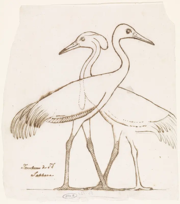 Egyptische reliëfsculptuur: twee kraanvogels Wall Art by Willem de Famars Testas - High-Resolution Digital Print