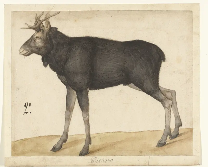 Eland Wall Art by anonymous - High-Resolution Digital Print