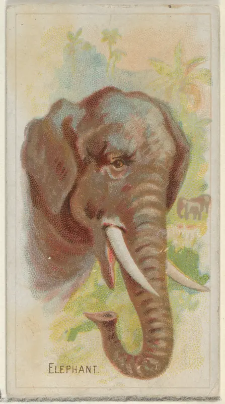 Elephant, from the Wild Animals of the World series (N25) for Allen & Ginter Cigarettes Wall Art by Allen & Ginter - High-Resolution Digital Print