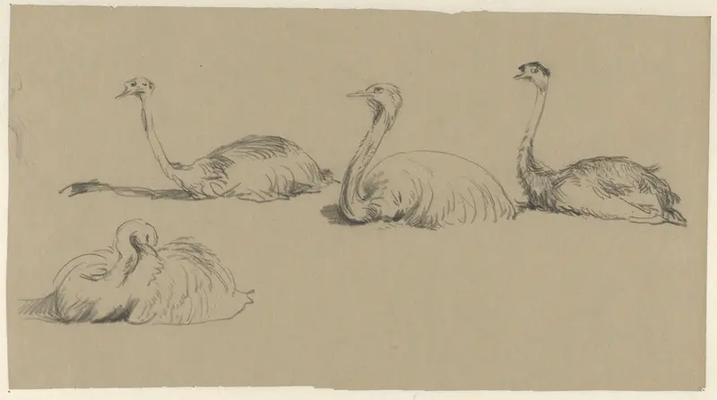 Emu's Wall Art by Guillaume Anne van der Brugghen - High-Resolution Digital Print