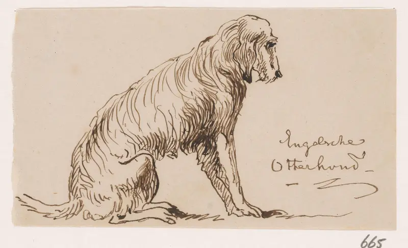 Engelsche Otterhond Wall Art by Johannes Tavenraat - High-Resolution Digital Print