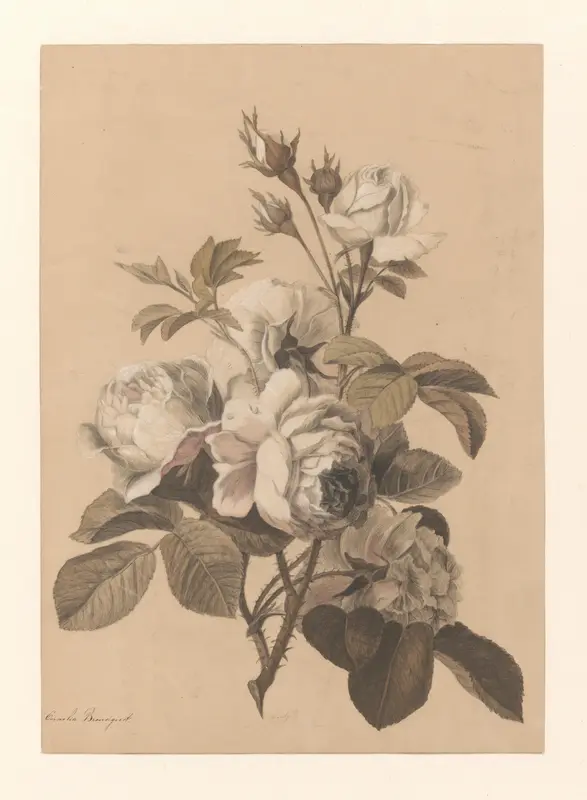 Enkele takken met rozen Wall Art by Cornelia Brondgeest - High-Resolution Digital Print
