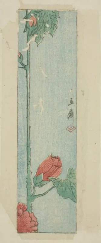 Envelope with hibiscus