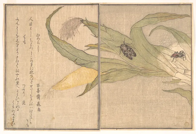 Evening Cicada, Higurashi; Spider, Kumo, from the Picture Book of Crawling Creatures (Ehon mushi erami)