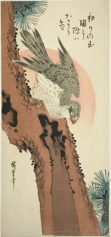 Falcon on a Pine Tree with the Rising Sun