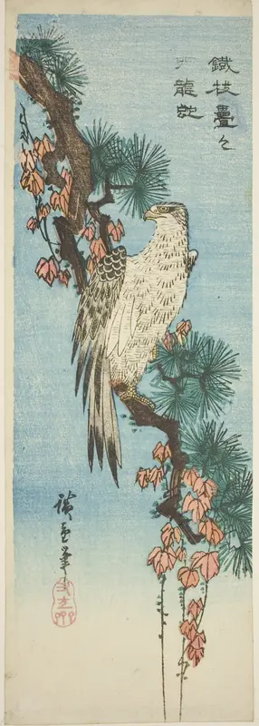 Falcon on ivy-covered pine branch