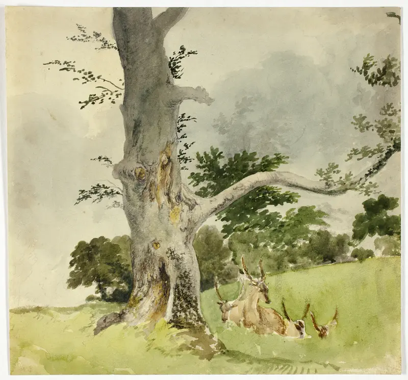 Family of Deer under a Tree Wall Art by Robert Hills - High-Resolution Digital Print