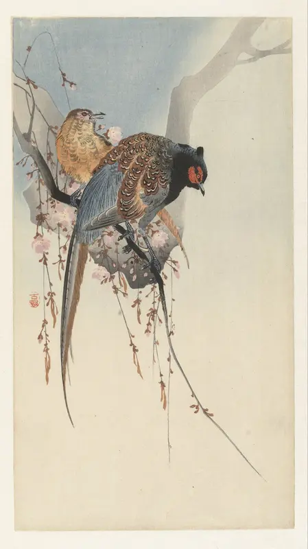 Fazantenkoppel en pruimenbloesem Wall Art by Unknown - High-Resolution Digital Print