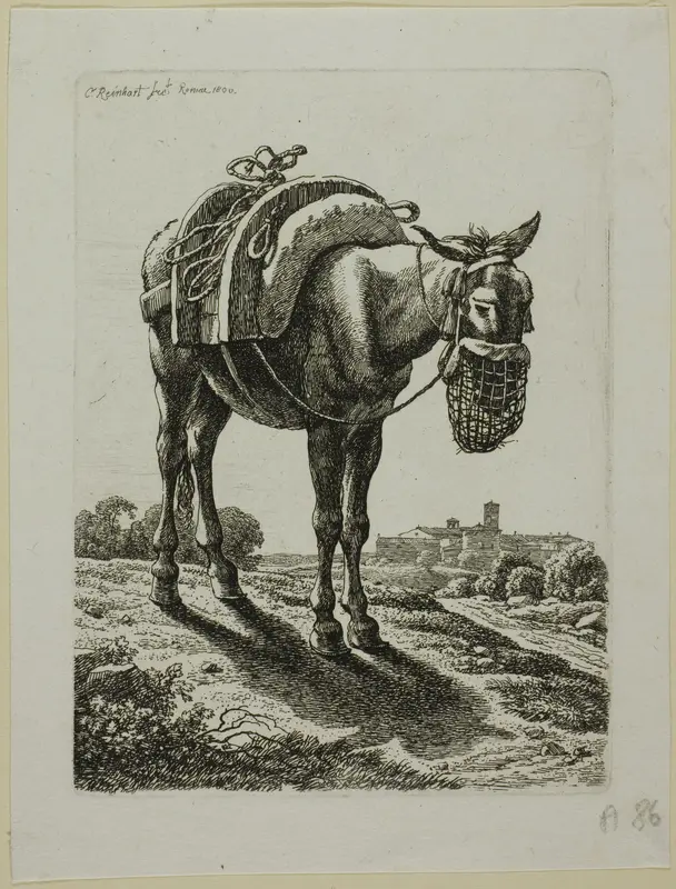 Feeding Mule - Front, from Die Zweite Thierfolge Wall Art by Johann Christian Reinhart - High-Resolution Digital Print
