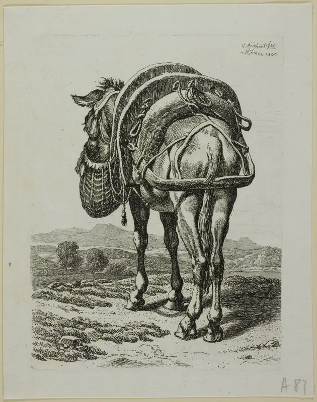 Feeding Mule - Rear, from Die Zweite Thierfolge Wall Art by Johann Christian Reinhart - High-Resolution Digital Print