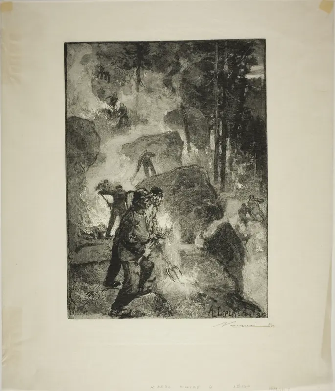 Fern Burners in the Forest