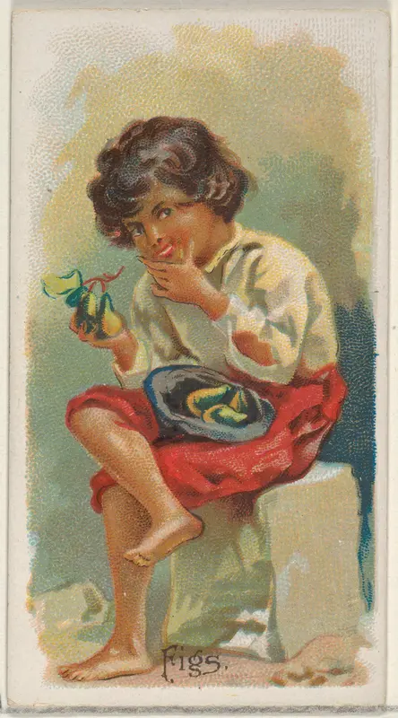 Figs, from the Fruits series (N12) for Allen & Ginter Cigarettes Brands Wall Art by Allen & Ginter - High-Resolution Digital Print