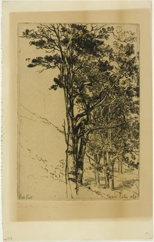 Firs (A Study) Wall Art by Francis Seymour Haden - High-Resolution Digital Print