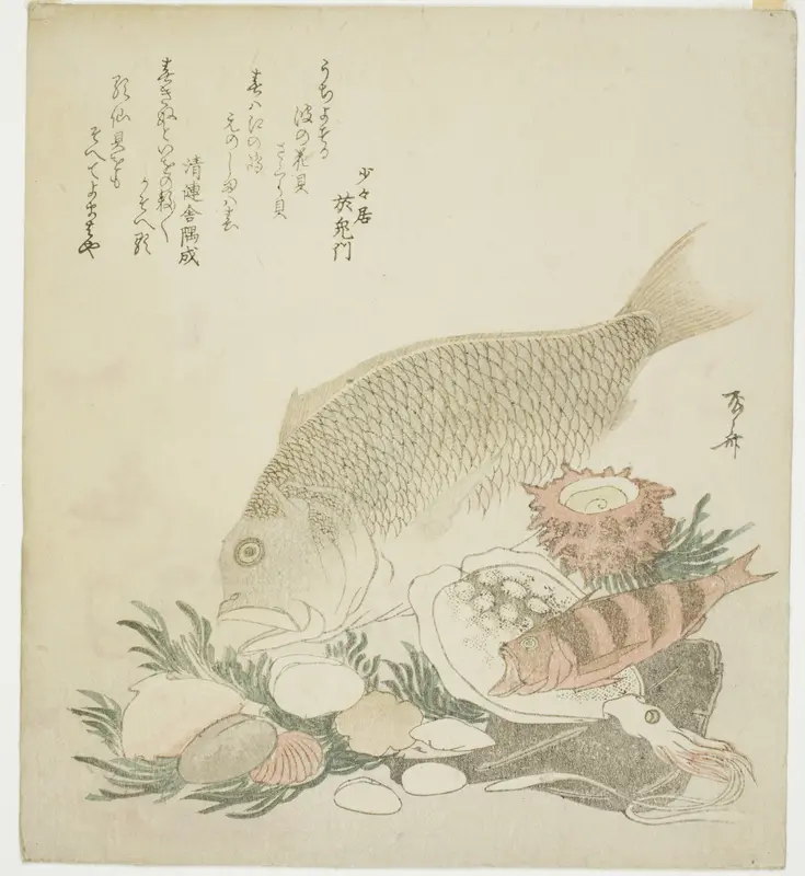 Fish and shells Wall Art by Ryuryukyo Shinsai - High-Resolution Digital Print