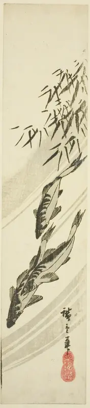 Fish in a stream
