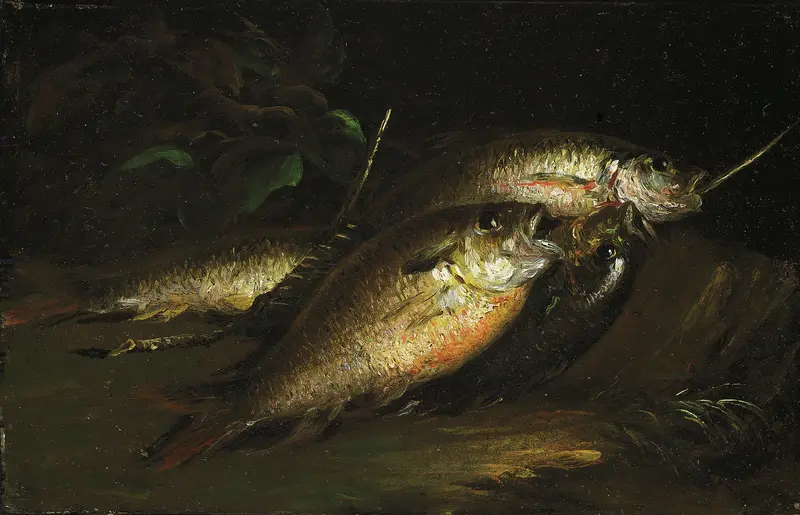Fish Wall Art by Shepard Alonzo Mount - High-Resolution Digital Print