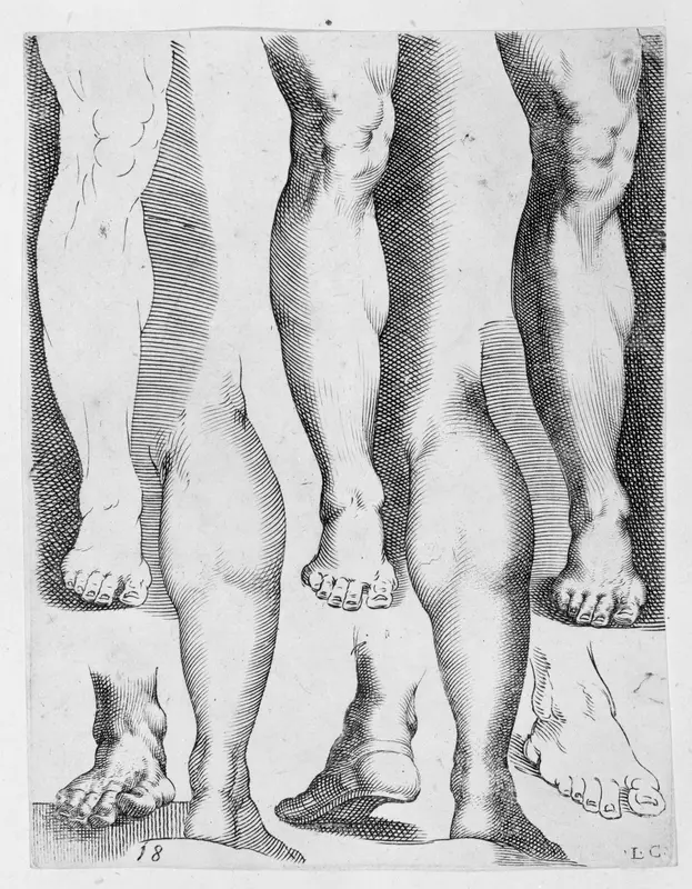 Five Legs and Three Feet Wall Art by Luca Ciamberlano - High-Resolution Digital Print