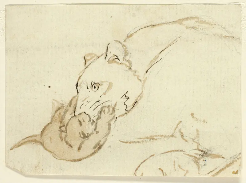 Five Sketches of Lions: Lioness with Cub Wall Art by Henry Stacy Marks - High-Resolution Digital Print
