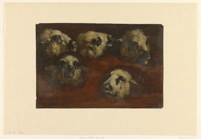 Five Studies of the Head of a Sheep Wall Art by Jacob van der Does (I) - High-Resolution Digital Print