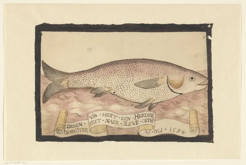 Flathead grey mullet Wall Art by Adriaen Coenen - High-Resolution Digital Print