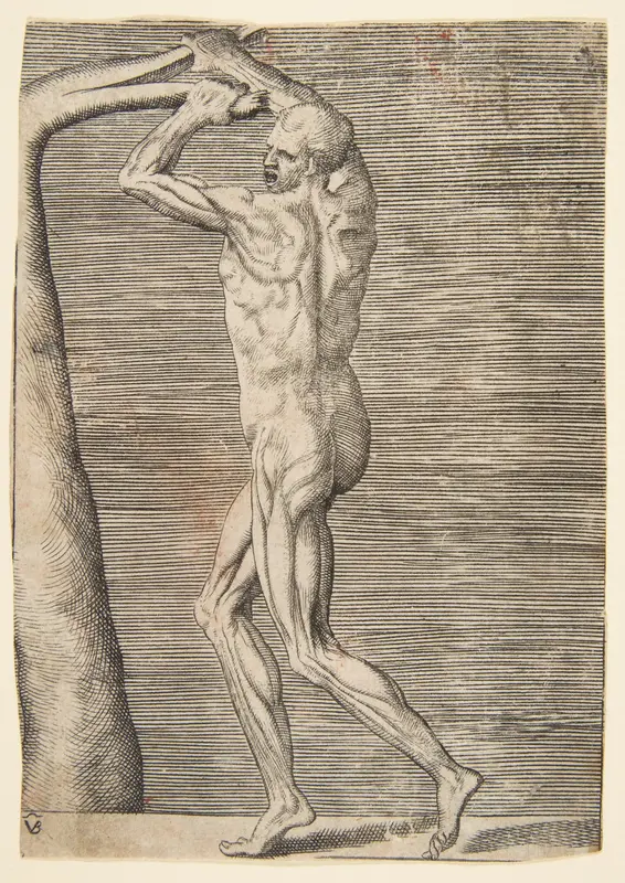 Flayed man holding the branch of a tree Wall Art by Giulio Bonasone - High-Resolution Digital Print
