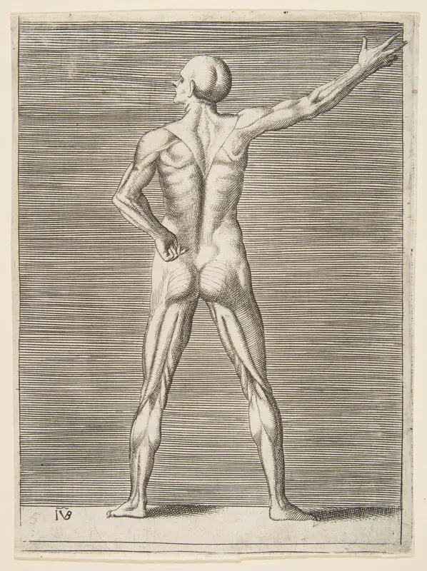 Flayed man seen from behind, his right arm extended Wall Art by Giulio Bonasone - High-Resolution Digital Print