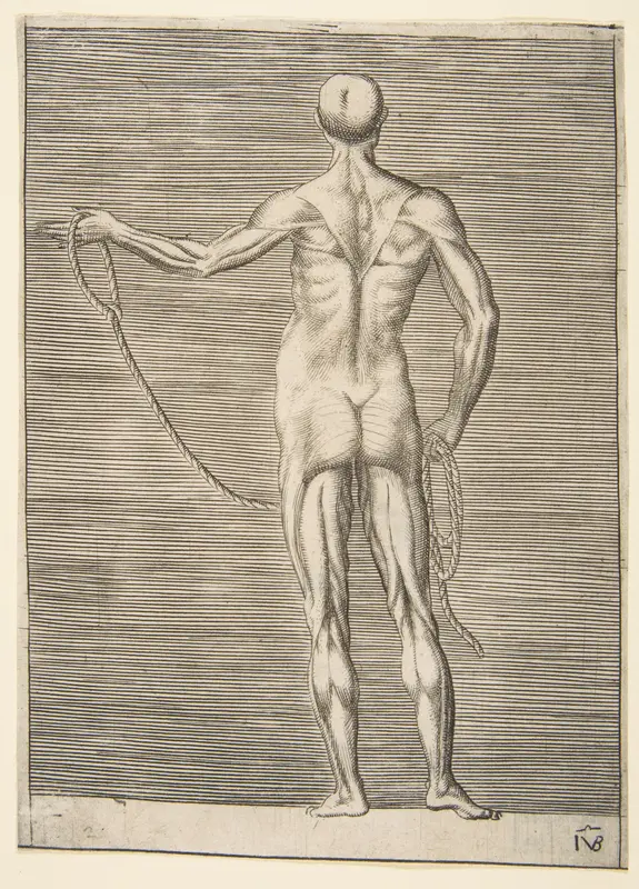 Flayed man seen from behind, holding a rope Wall Art by Giulio Bonasone - High-Resolution Digital Print