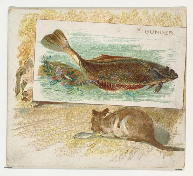 Flounder, from Fish from American Waters series (N39) for Allen & Ginter Cigarettes Wall Art by Allen & Ginter - High-Resolution Digital Print