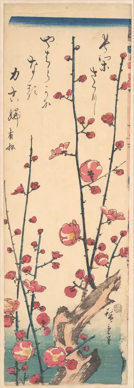 Flowering Plum Tree