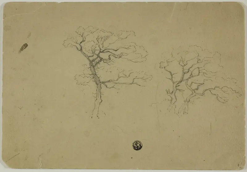 Flowering Trees Wall Art by B. W. Atkinson - High-Resolution Digital Print