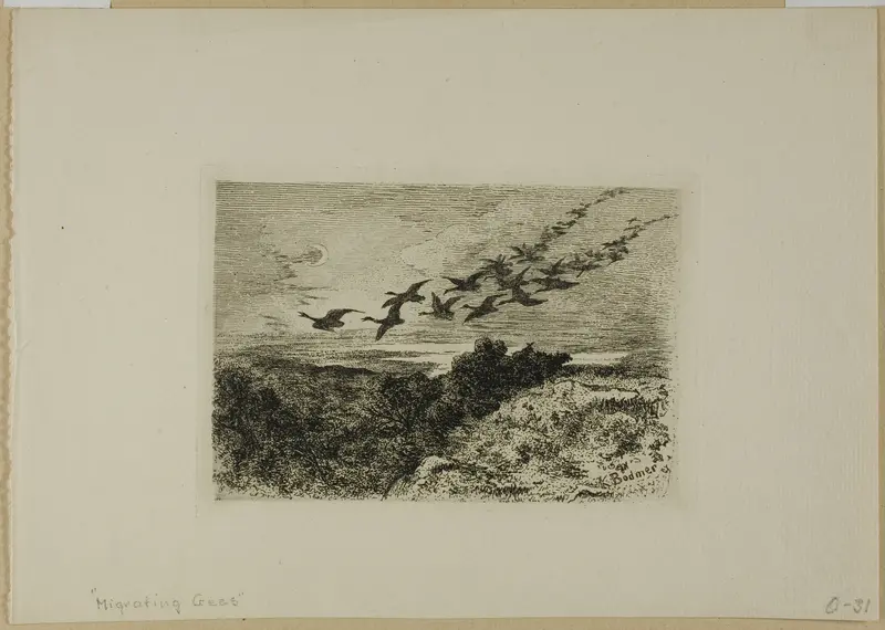 Flying Geese Wall Art by Karl Bodmer - High-Resolution Digital Print