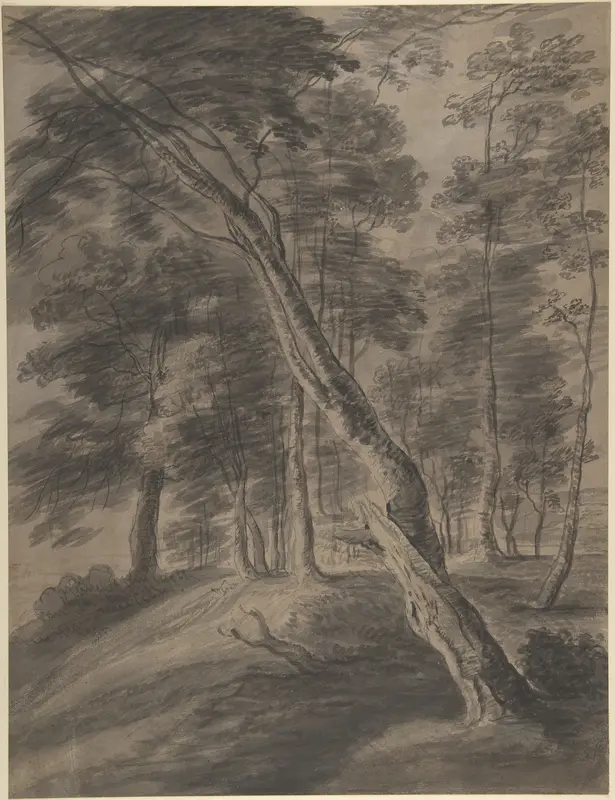 Forest Scene with Tree in Foreground Wall Art by Jacques d'Artois - High-Resolution Digital Print