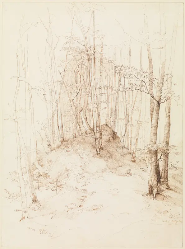 Forest view in the Menterschweige district near Munich Wall Art by Heinrich Dreber - High-Resolution Digital Print