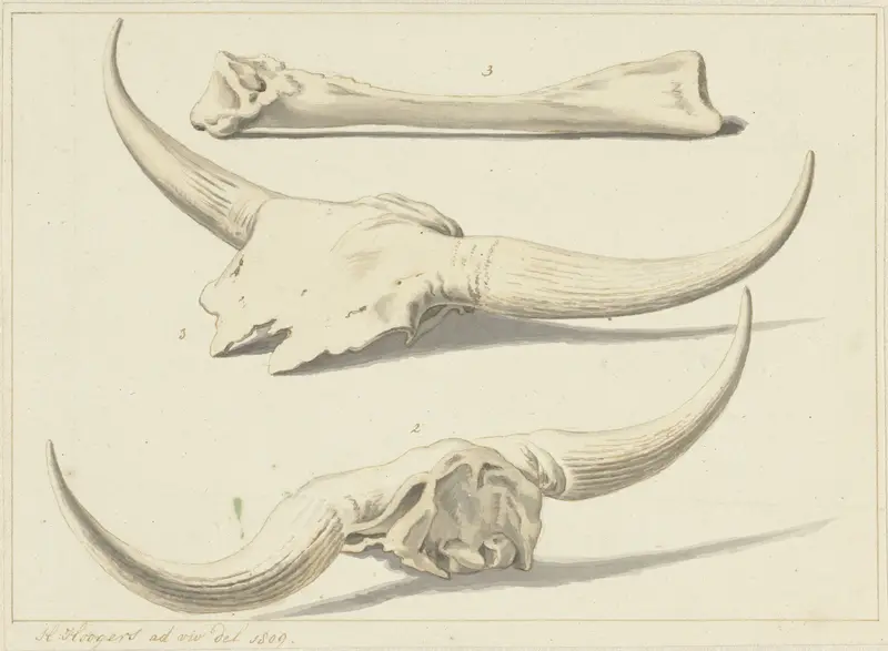 Fossiele beenderen van een oeros, gevonden tijdens de watersnood, 1809 Wall Art by Unknown - High-Resolution Digital Print