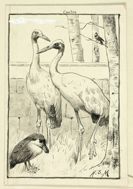 Four Birds in Landscape Wall Art by Henry Stacy Marks - High-Resolution Digital Print