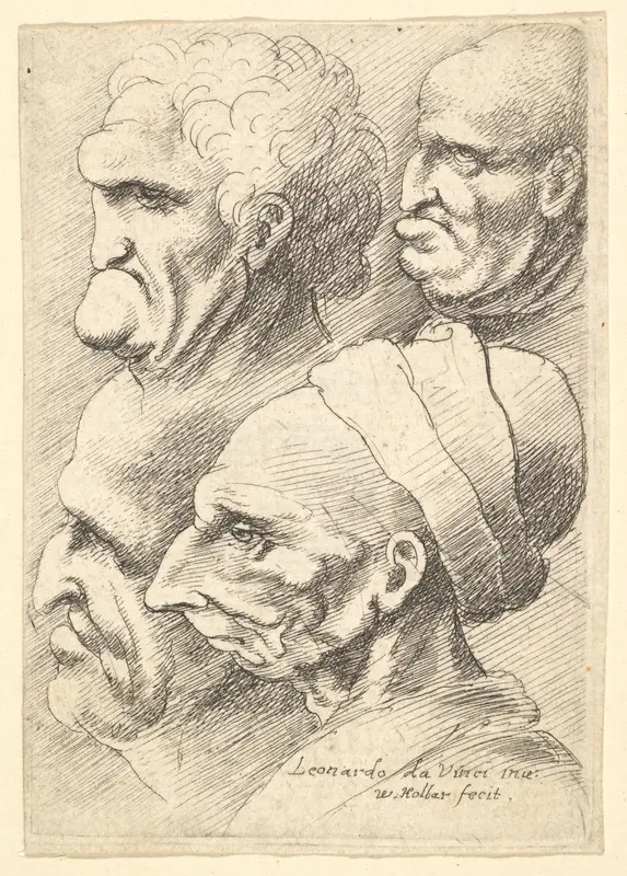 Four grotesque heads in profile to left Wall Art by Wenceslaus Hollar - High-Resolution Digital Print