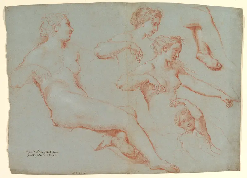 Four Studies of Recumbent Female Nudes (Galatea) Wall Art by Carlo Maratti - High-Resolution Digital Print