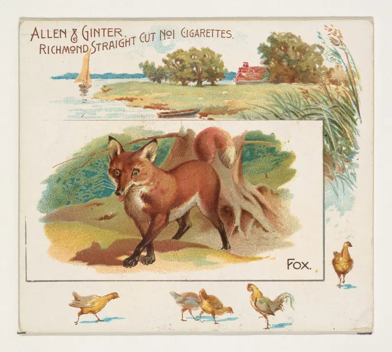 Fox, from Quadrupeds series (N41) for Allen & Ginter Cigarettes Wall Art by Allen & Ginter - High-Resolution Digital Print